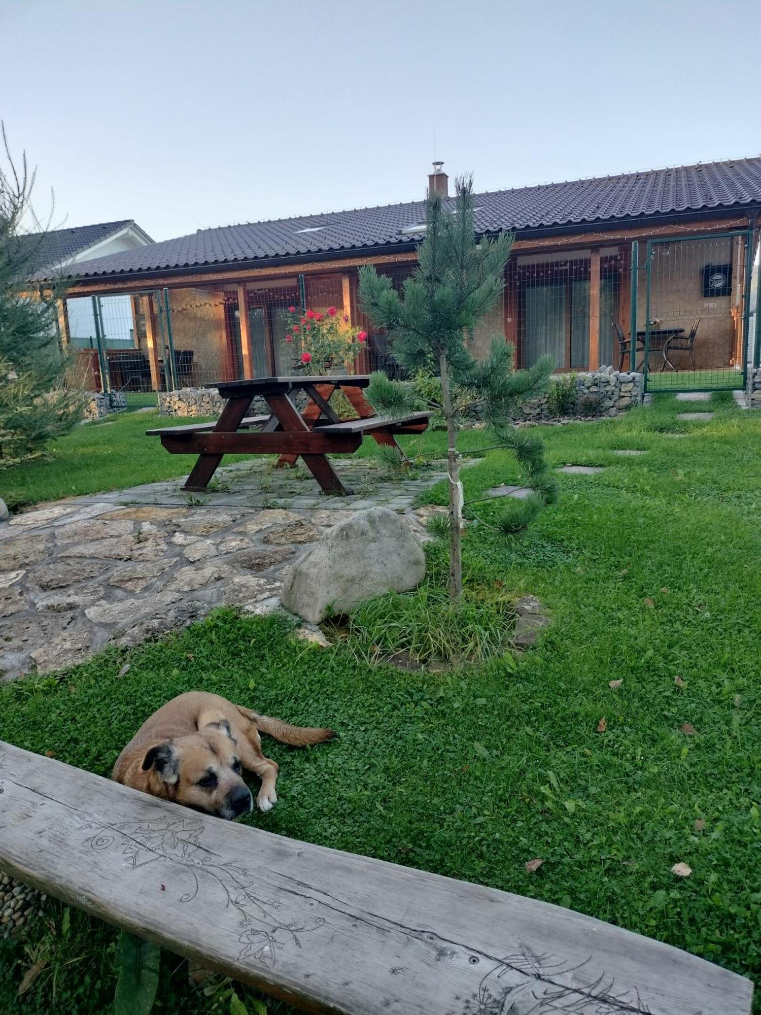 Villa Garden Besenova Exterior photo